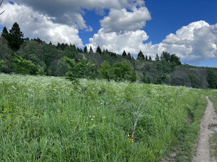 Участок 11 га (СНТ, ДНП)