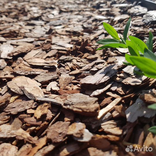 Мульча сибирской лиственницы в розницу и оптом