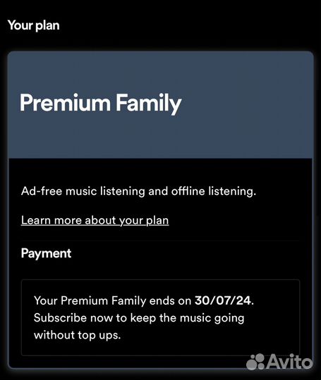Spotify Premium на 6/12 мес (индивидуально/семья)