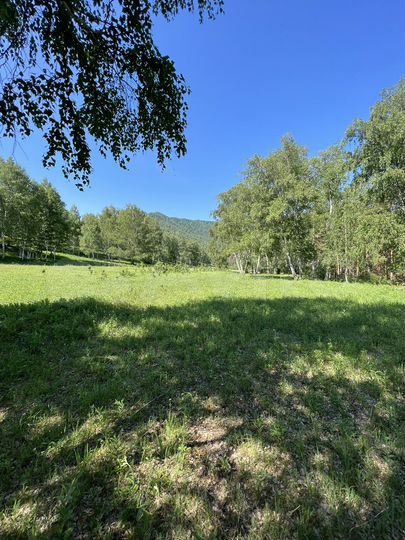 Участок 100 сот. (СНТ, ДНП)