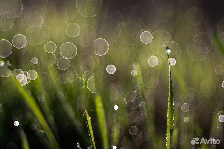 Объектив Canon RF 28-70mm f/2L usm