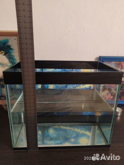 Аквариум 7 литров с гурами