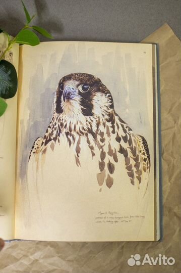 Книга The Silvery Tay: Paintings and Sketches