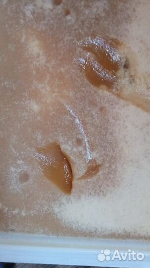 Мед разнотравье с гречихой 2023 год