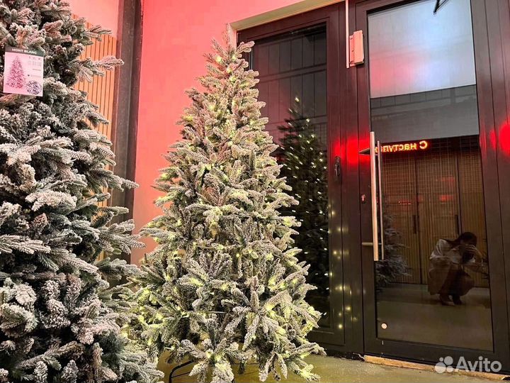 Елка зансеженная премиальная