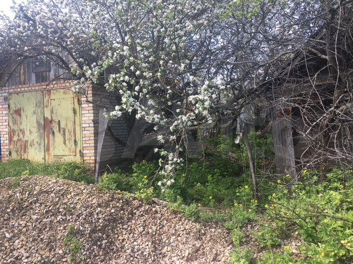 Участок 24 сот. (СНТ, ДНП)