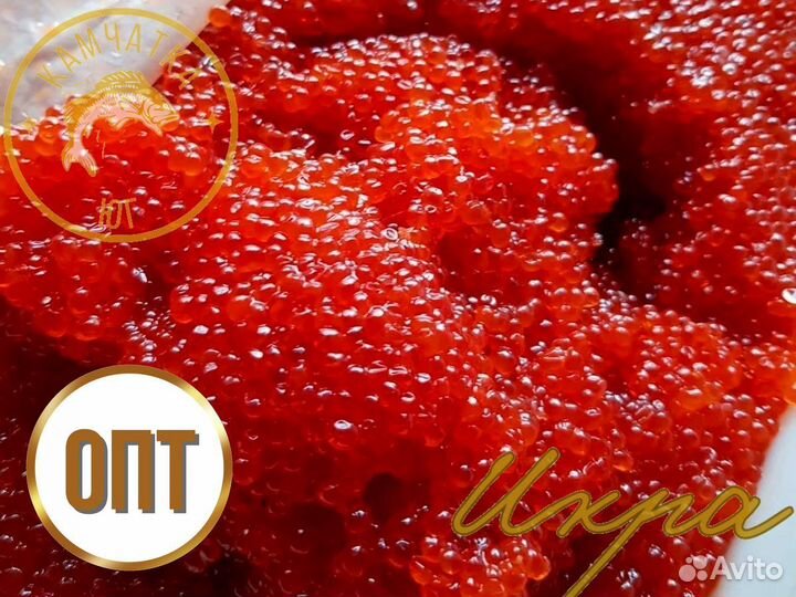 Красная икра лососевых