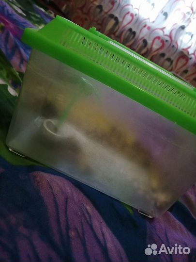 Мини аквариум