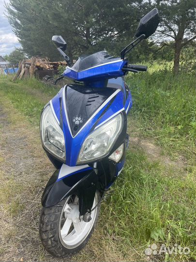 Irbis 170 rzr