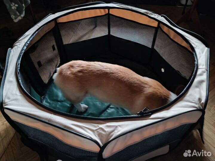 Вольер-тент для собак