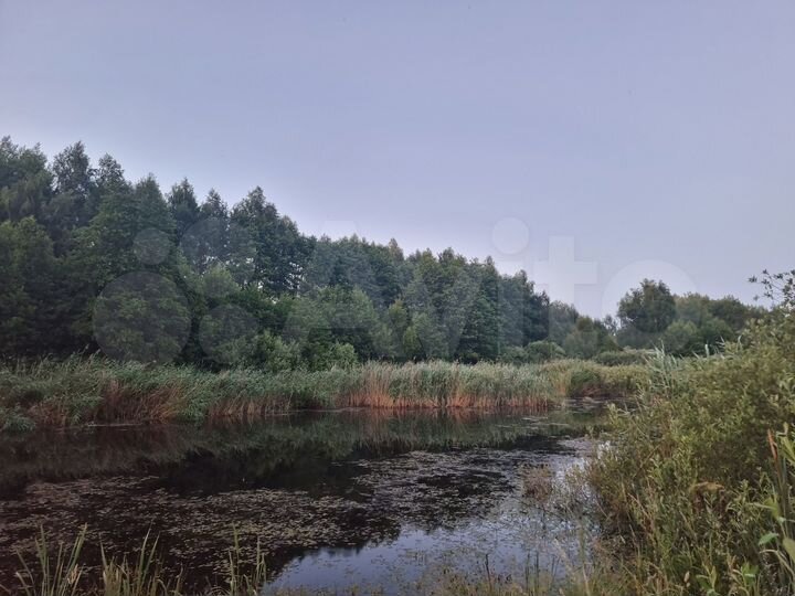 Участок 5 га (СНТ, ДНП)