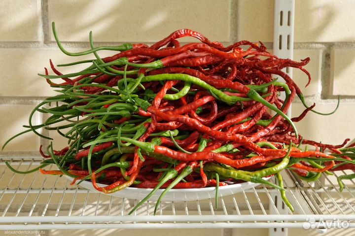 Разные сорта перца острого и суперострого