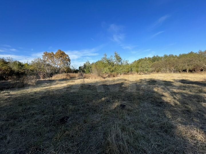 Участок 40 га (ИЖС)