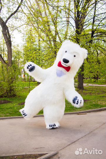 Белый Мишка и Панда. Поздравления