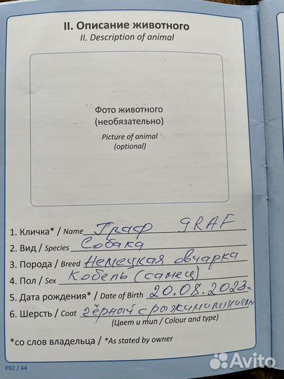 Кабель немецкой овчарки вязка