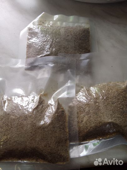 Мздра куриных желудков