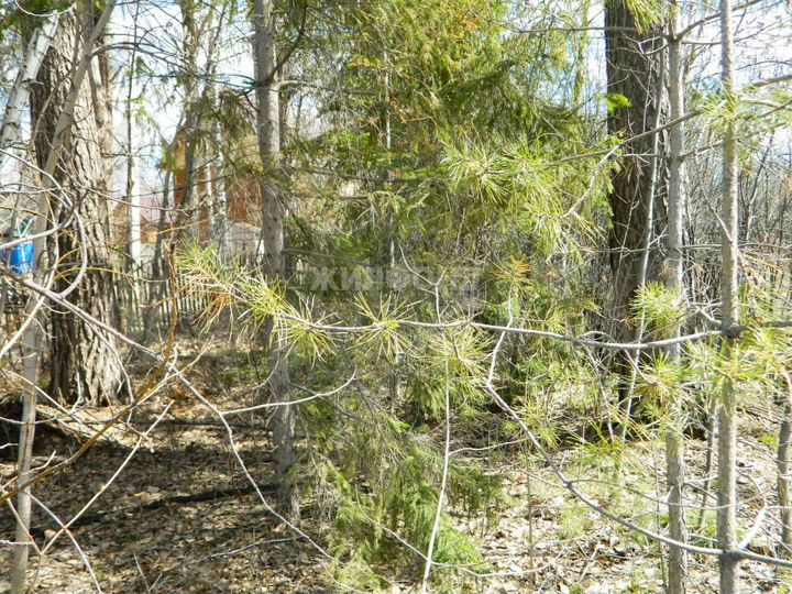 Участок 7,8 сот. (СНТ, ДНП)