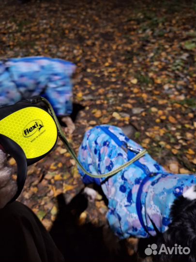 Выгул собак