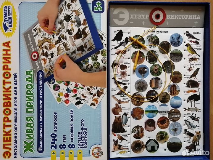 Детские развивающие игры