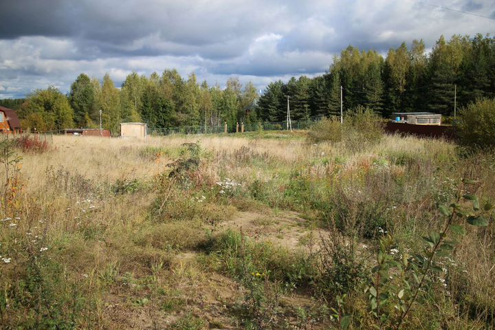 Участок 12,3 сот. (СНТ, ДНП)