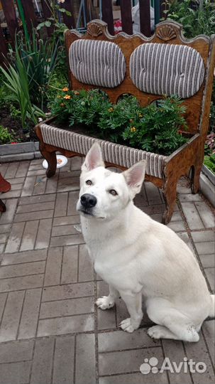 Кабель для вязки