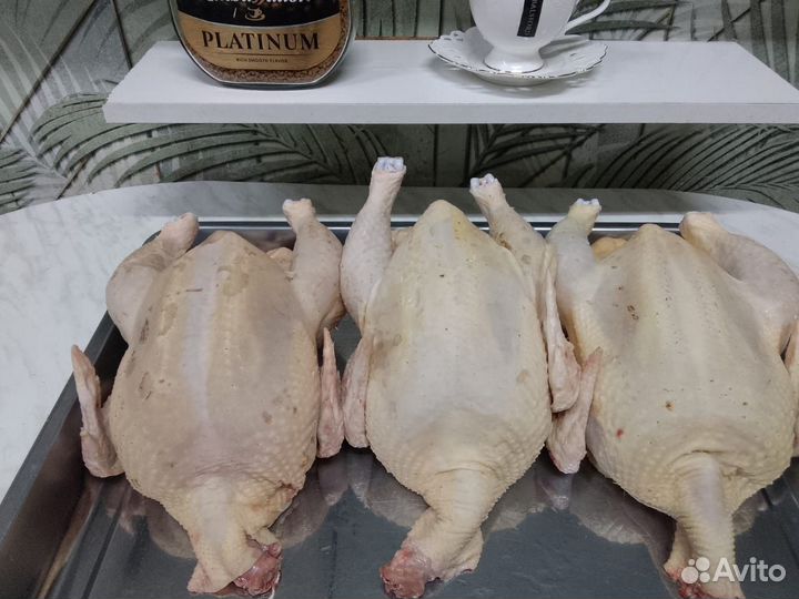 Домашнее мясо кур