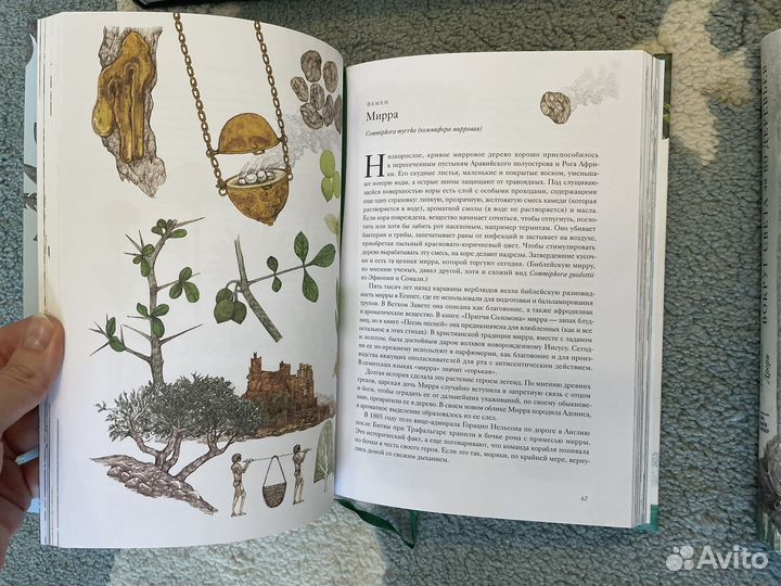 Книги манн иванов фербер