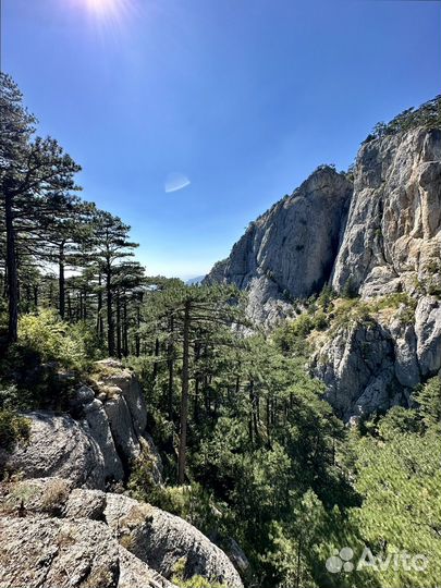 Все о Массандре