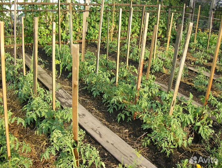 Опоры / колышки для сада и огорода / Киров