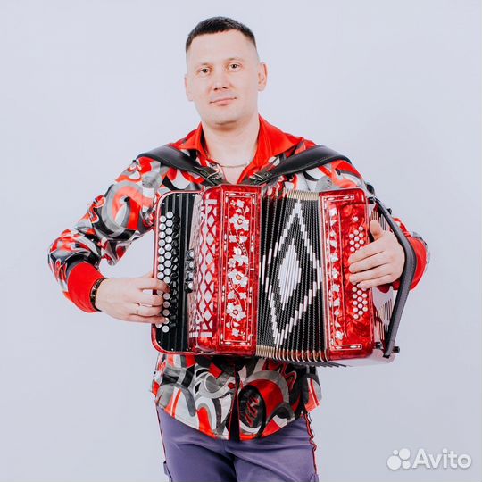 Баянист на праздник, гармонист