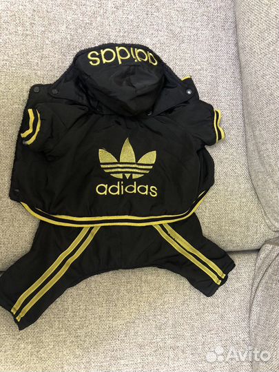 Одежда для собак