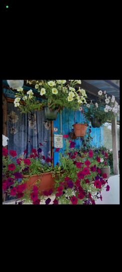 Дом 42 м² на участке 18 сот.