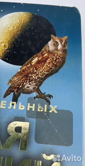 Большая книга знаний