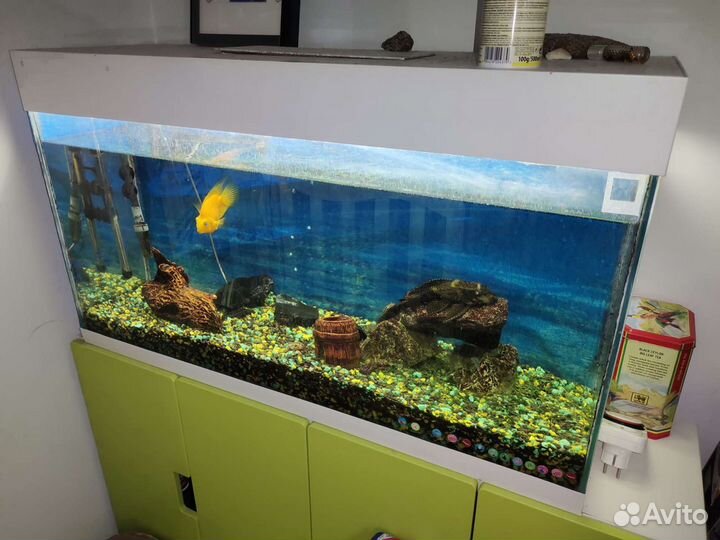 Аквариум с фильтром и светом 150л