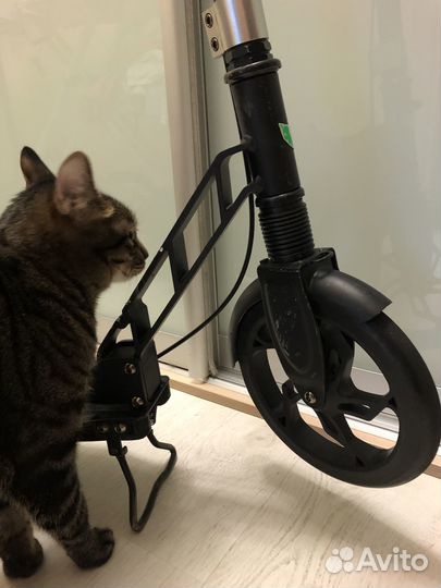 Самокат Roces 230 Lux, черный