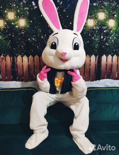 Ростовой плюшевый заяц, мультяшный костюм