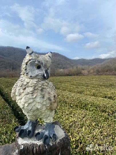 Экскурсия в Сочи 33 водопада + чайные плантации