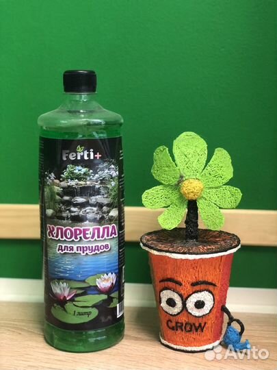 Раствор Хлореллы 1л