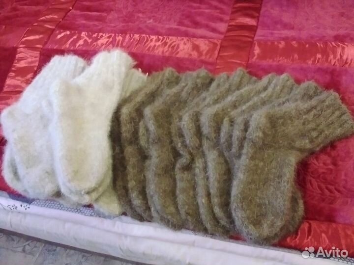 Собачьи носки