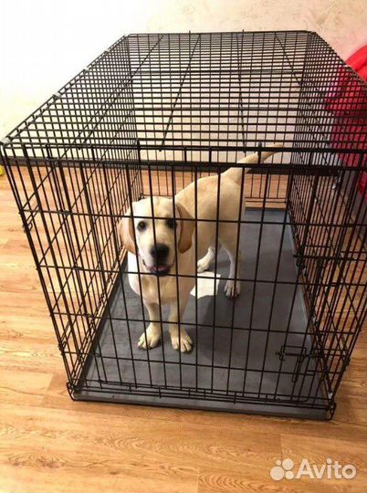 Клетки для собак