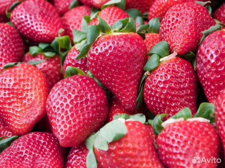 Упаковщик с проживанием и питанием