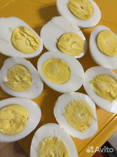 Домашние куриные яйца