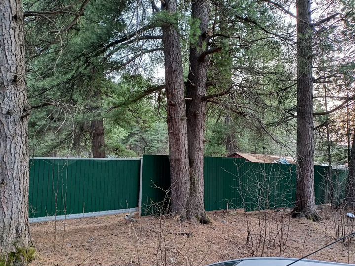 Участок 29 сот. (ИЖС)