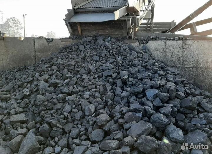 Уголь Балахтинский сорт,орех, семечка