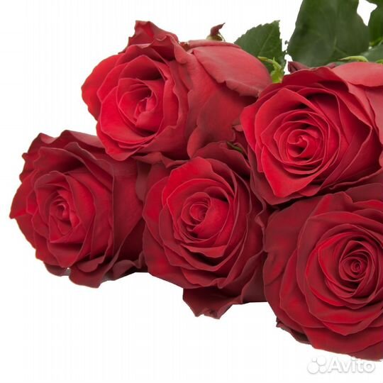 Букет из роз Красных Премиум 60 см (11-101)