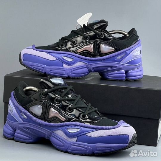 Adidas Raf Simons Purple