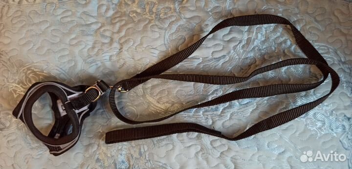 Шлейка и поводок