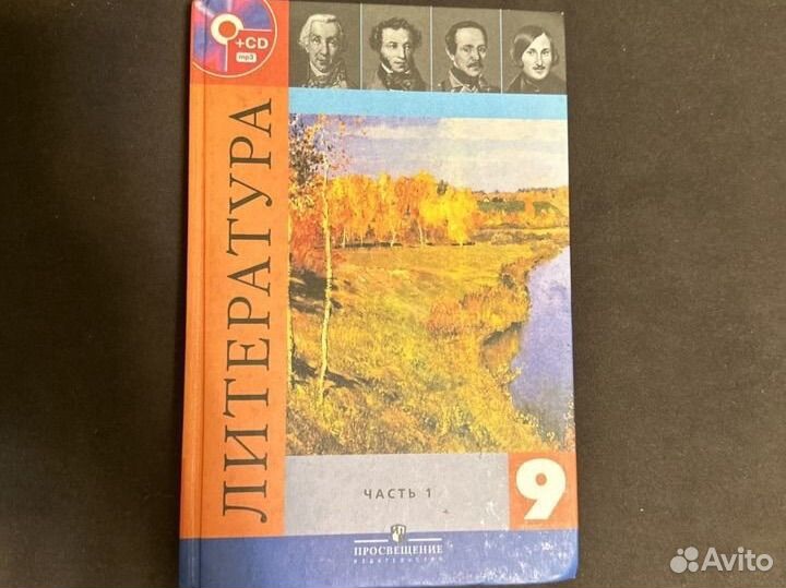 Учебник по литературе 9 класс 1 часть