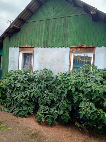 Дом 42 м² на участке 3 сот.