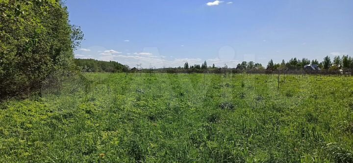 Участок 6 сот. (ИЖС)